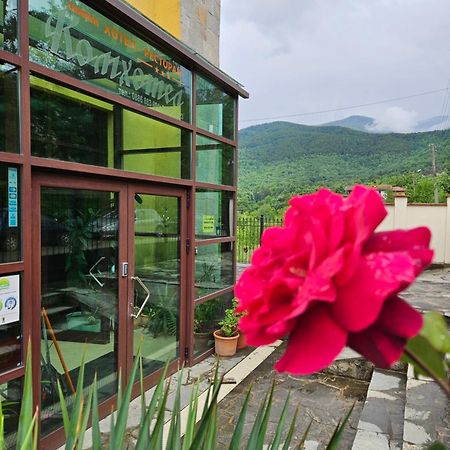 Family Hotel Komhotel 베르코비차 외부 사진